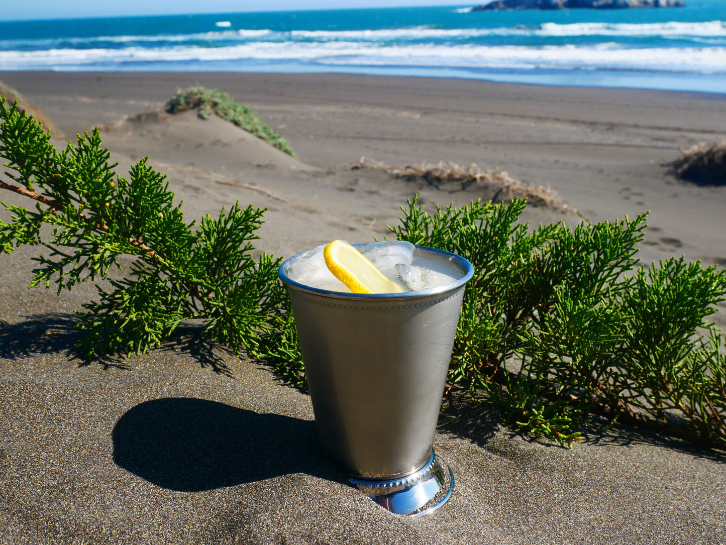 Silver Cocktail Glass