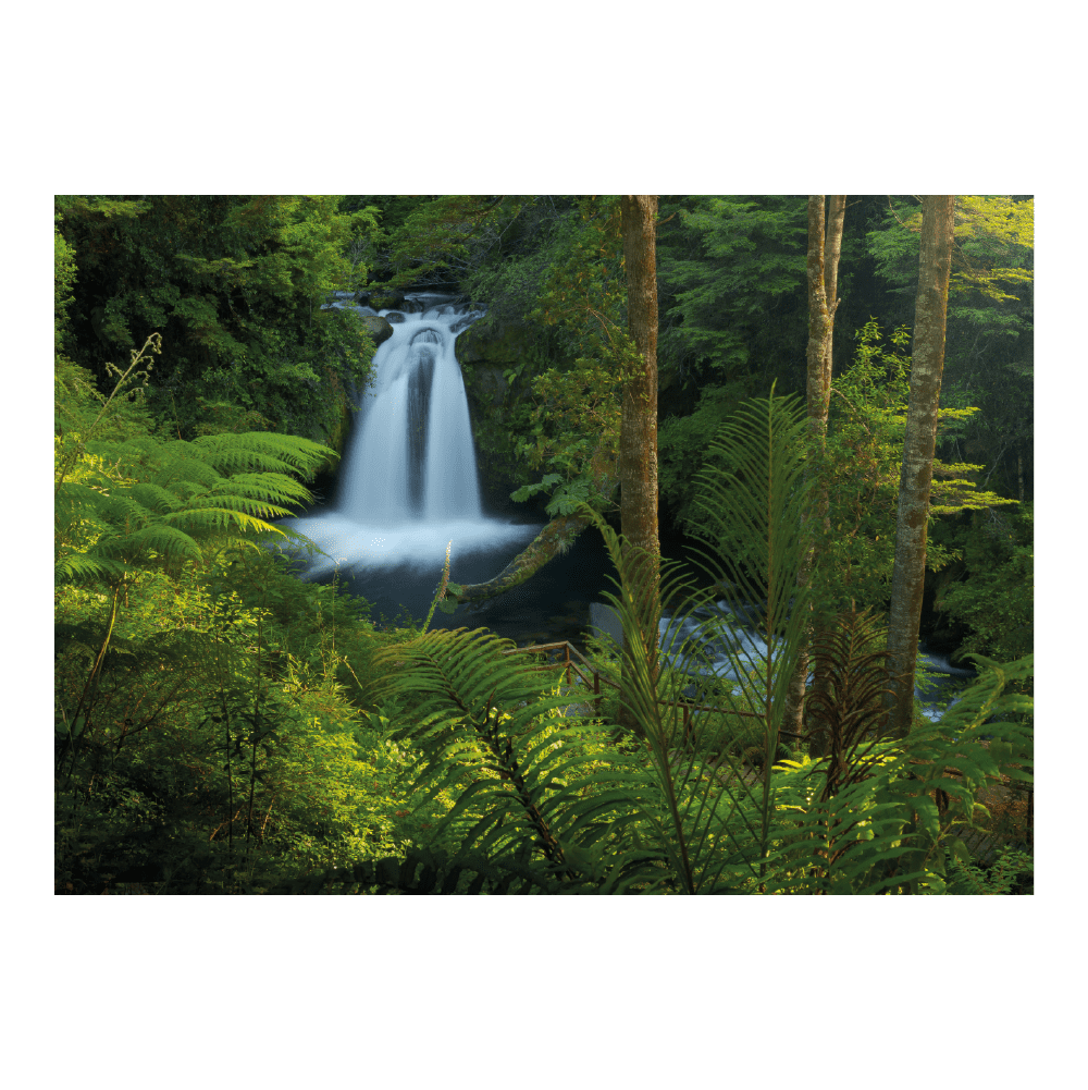 Puzzle Parque Nacional Puyehue